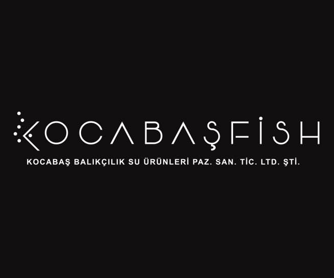 kocabasfis logo idea by didar sovbetov